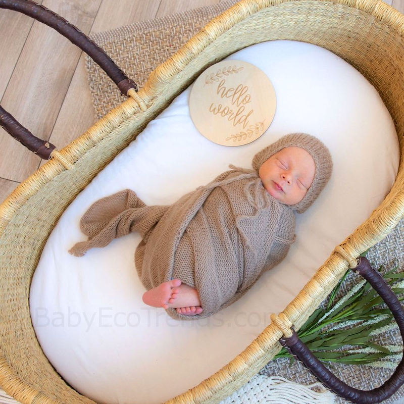 baby moses in basket