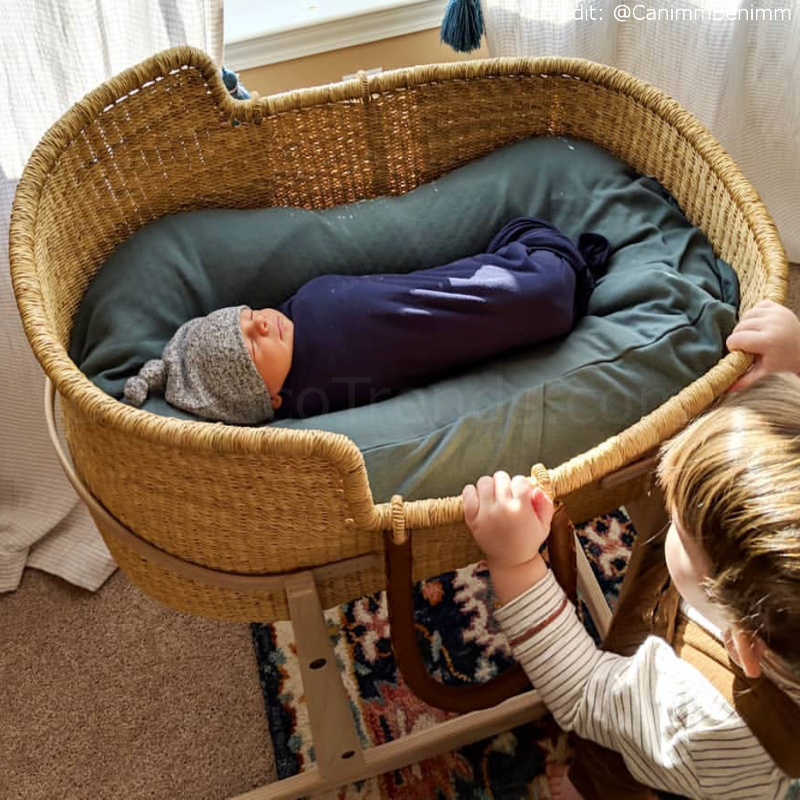organic moses basket and stand